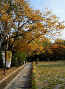 죽서루